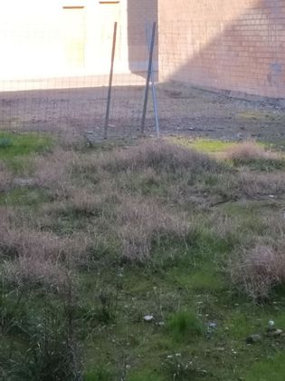 Foto 2 de Venta de terreno en Almacelles de 120 m²