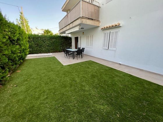 Foto 2 de Pis en venda a Port d'Alcúdia - Platja d'Alcúdia de 3 habitacions amb terrassa i jardí