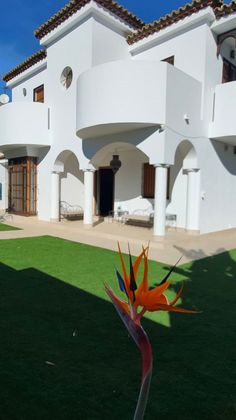 Foto 1 de Alquiler de chalet en calle Playa de Los Lances de 3 habitaciones con terraza y piscina