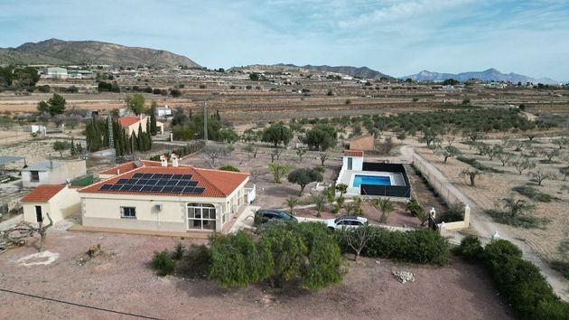 Foto 2 de Chalet en venta en calle Partida de Los Palos de 4 habitaciones con terraza y piscina