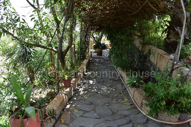 Foto 1 de Venta de casa rural en Guía de Isora interior de 1 habitación con jardín