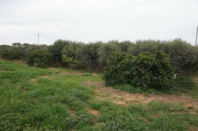 Foto 2 de Venta de terreno en Casc Antic - Nou Cambrils de 10000 m²