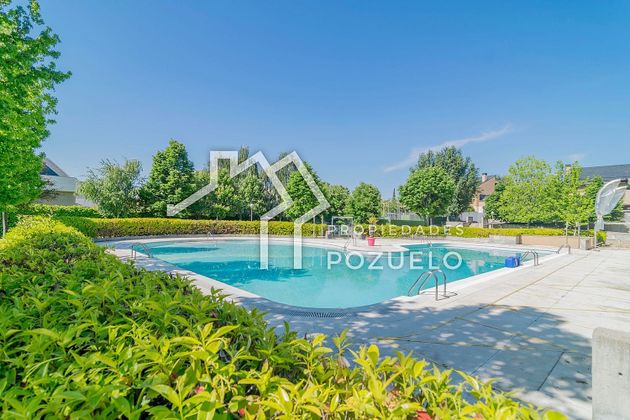 Foto 2 de Piso en alquiler en El Encinar de los Reyes de 2 habitaciones con terraza y piscina