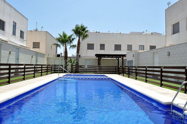 Foto 2 de Casa en venda a Torre de la Horadada de 3 habitacions amb terrassa i piscina