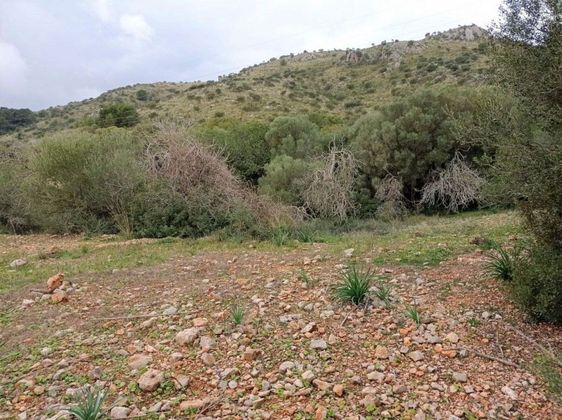 Foto 2 de Venta de terreno en Sant Llorenç des Cardassar de 6983 m²