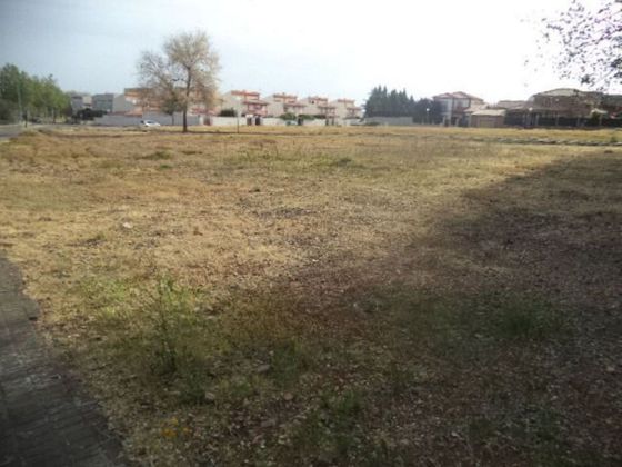 Foto 1 de Venta de terreno en calle Castaño de 1012 m²