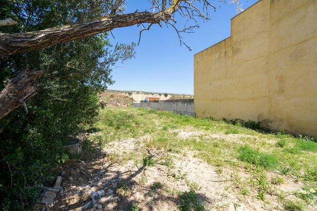 Foto 2 de Venta de terreno en Sant Llorenç des Cardassar de 202 m²
