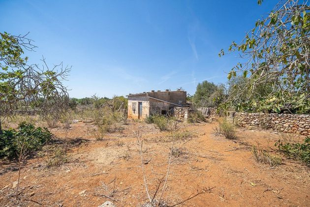 Foto 1 de Venta de terreno en Santa Margalida de 6340 m²