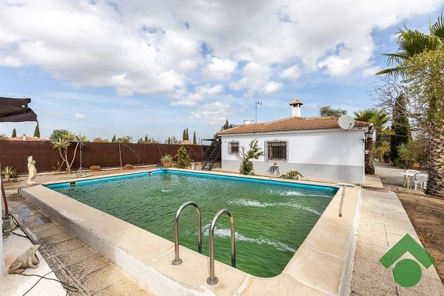Foto 2 de Venta de casa rural en Moraleda de Zafayona de 3 habitaciones con terraza y piscina