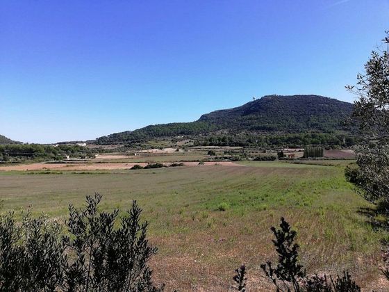 Foto 1 de Venta de terreno en Algaida de 42692 m²