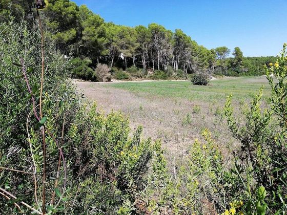 Foto 2 de Venta de terreno en Algaida de 42692 m²