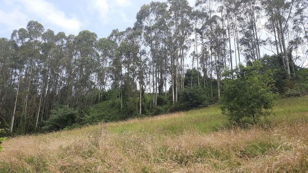 Foto 1 de Venta de terreno en Llanera de 30000 m²