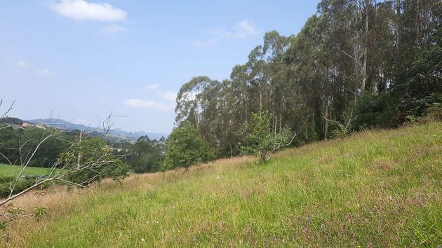 Foto 2 de Venta de terreno en Llanera de 30000 m²