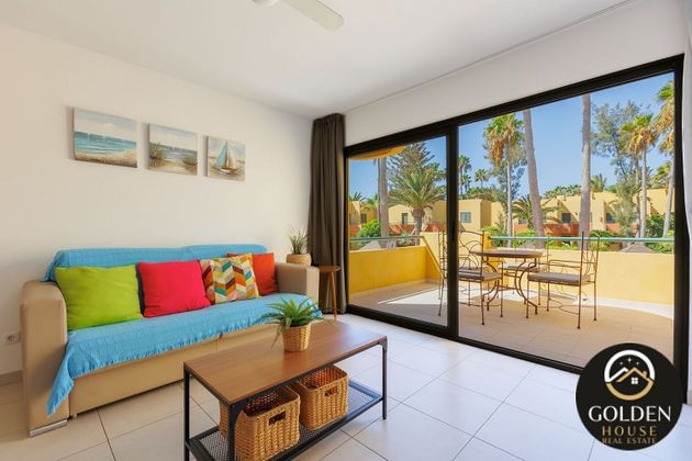 Foto 1 de Pis en venda a calle Gran Canaria de 1 habitació amb terrassa i piscina