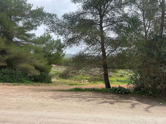 Foto 2 de Venta de terreno en calle Roca Llisa S'olivera de 1660 m²