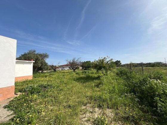 Foto 2 de Casa rural en venda a Puerto Real de 2 habitacions amb jardí