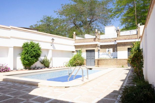 Foto 1 de Alquiler de casa en Sanlúcar la Mayor de 4 habitaciones con terraza y piscina