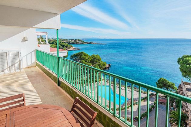 Foto 1 de Pis en venda a Palmanova de 2 habitacions amb piscina i balcó