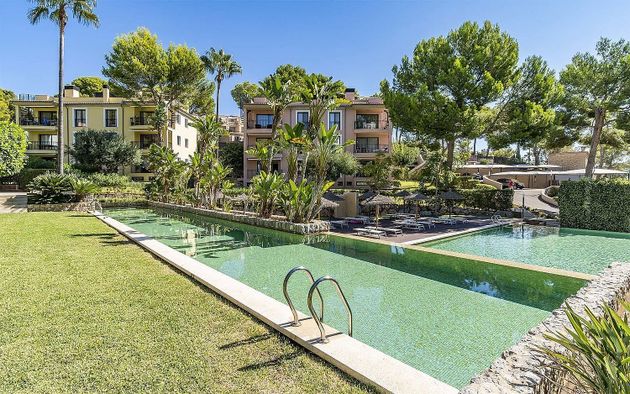 Foto 1 de Piso en venta en Es Camp de Mar de 4 habitaciones con terraza y piscina