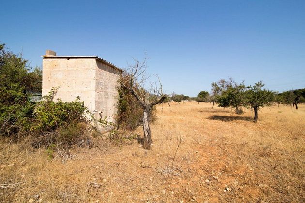 Foto 1 de Venta de terreno en Sant Llorenç des Cardassar de 16085 m²