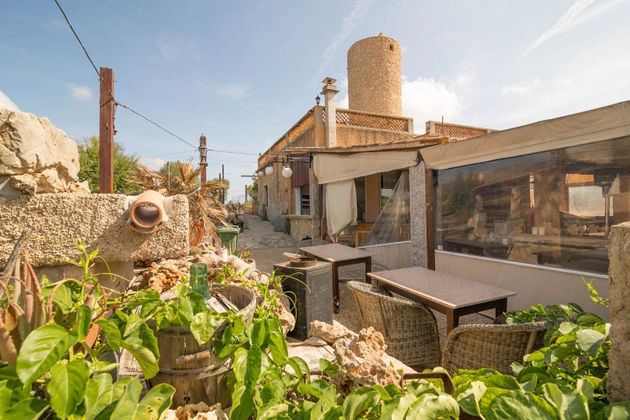 Foto 2 de Casa rural en venda a Capdepera de 1 habitació amb terrassa i jardí