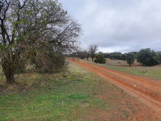 Foto 2 de Venta de terreno en Villalbilla pueblo de 20000 m²