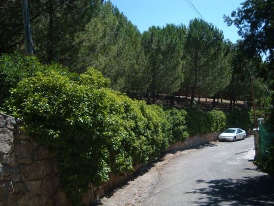 Foto 2 de Venta de terreno en Loranca de Tajuña de 938 m²