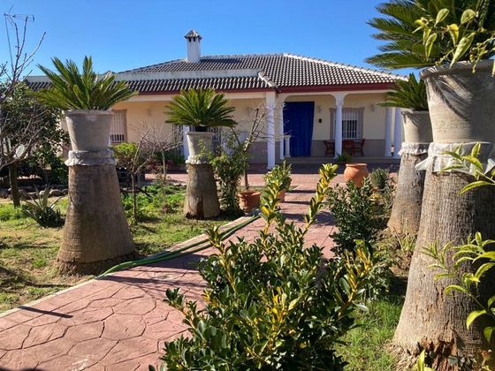 Foto 1 de Venta de casa rural en calle La Flor de la Campiñuela de 4 habitaciones con terraza y piscina