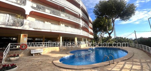 Foto 1 de Pis en venda a Bellamar de 3 habitacions amb terrassa i piscina