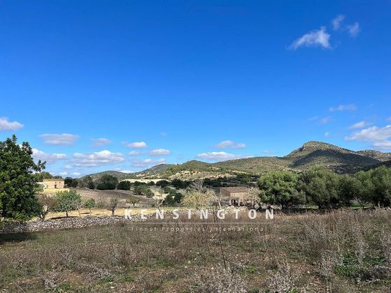 Foto 2 de Venta de terreno en Sant Llorenç des Cardassar de 37000 m²