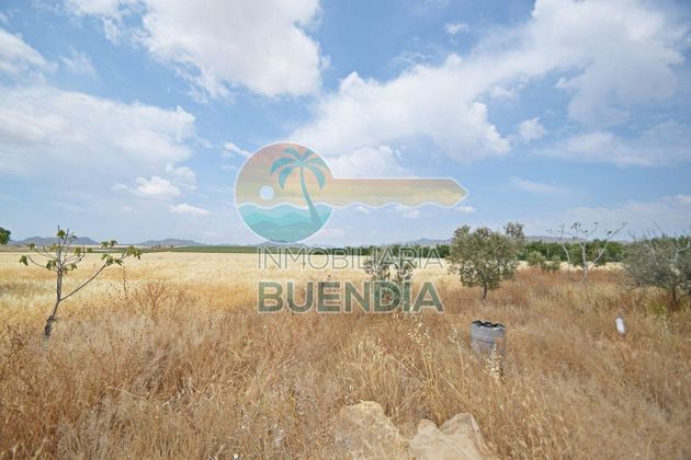 Foto 2 de Venta de terreno en Totana de 72000 m²