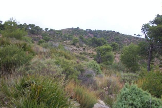 Foto 2 de Venta de terreno en Montornés - Las Palmas - El Refugio de 963 m²