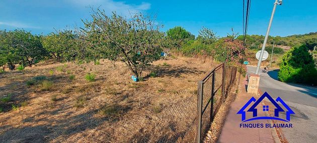 Foto 2 de Venta de terreno en Arenys de Munt de 4641 m²