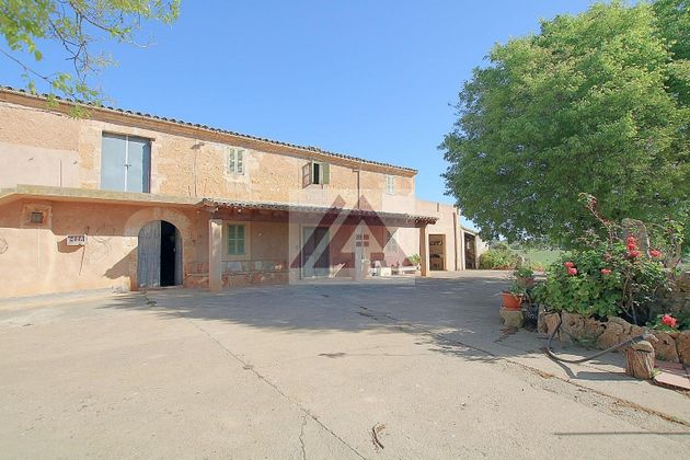 Foto 2 de Casa rural en venda a Felanitx de 4 habitacions amb terrassa i garatge