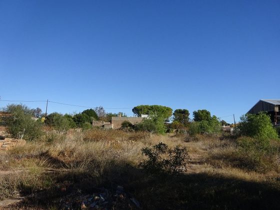 Foto 2 de Venta de terreno en Madrigal de 2421 m²
