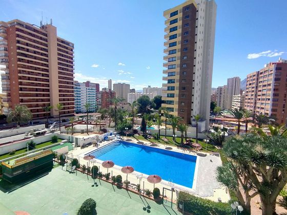 Foto 2 de Pis en venda a Rincón de Loix de 1 habitació amb terrassa i piscina