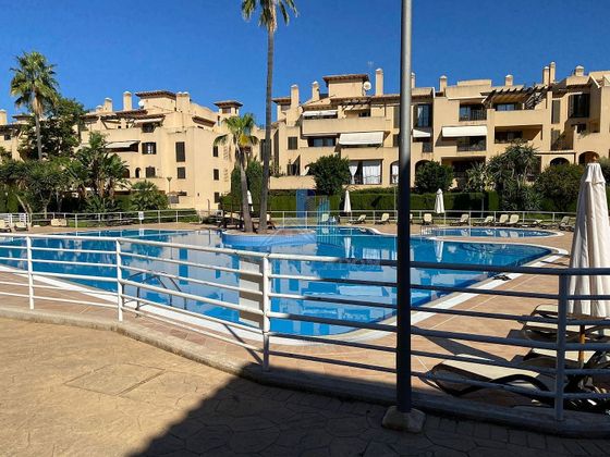 Foto 1 de Venta de piso en Maioris-Puig de Ros de 3 habitaciones con terraza y piscina