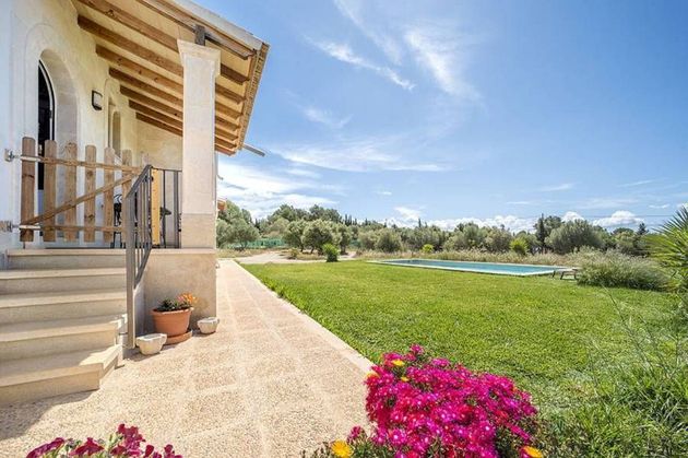 Foto 1 de Chalet en venta en Sant Jordi - Son Ferriol de 8 habitaciones con terraza y piscina