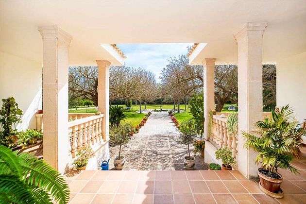 Foto 2 de Xalet en venda a Establiments - Son Espanyol - Son Sardina de 4 habitacions amb terrassa i piscina