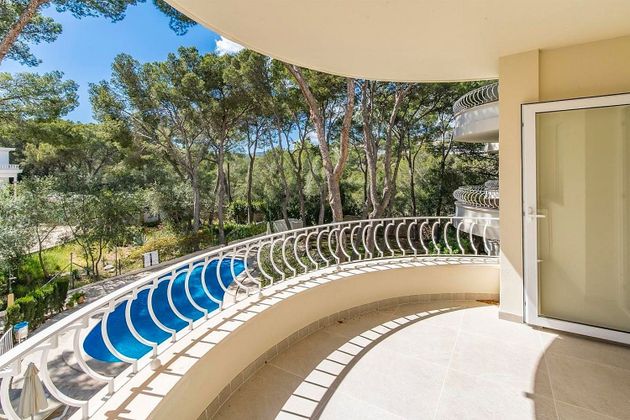 Foto 2 de Pis en venda a Cas Catala - Illetes de 1 habitació amb terrassa i piscina