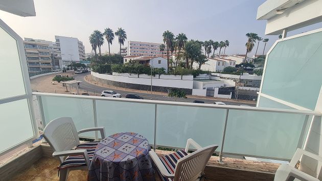 Foto 1 de Piso en alquiler en Playa del Inglés de 1 habitación con piscina y muebles