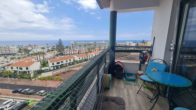 Foto 1 de Venta de piso en avenida De Tenerife de 1 habitación con piscina y balcón