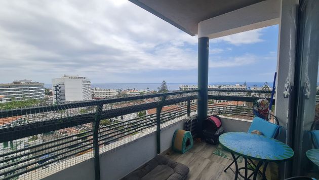 Foto 2 de Venta de piso en avenida De Tenerife de 1 habitación con piscina y balcón