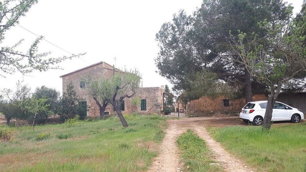 Foto 1 de Casa rural en venda a Sant Jordi - Son Ferriol de 9 habitacions amb terrassa i piscina