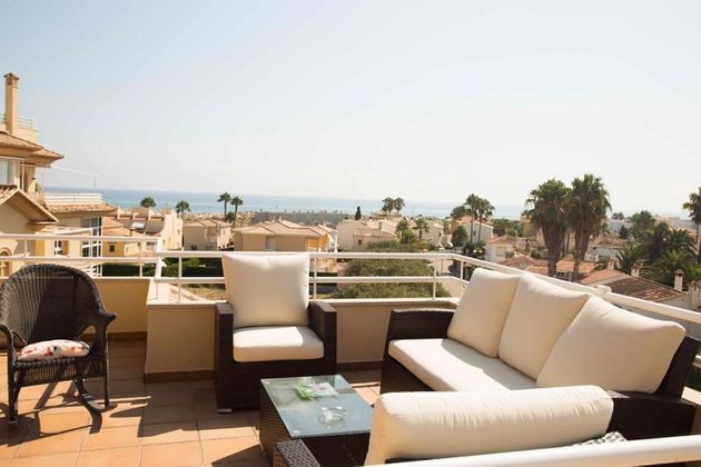 Foto 1 de Dúplex en venda a Oliva Nova de 3 habitacions amb terrassa i piscina
