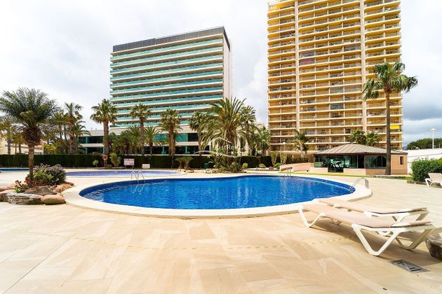 Foto 1 de Pis en lloguer a Zona Levante - Playa Fossa de 3 habitacions amb piscina i garatge