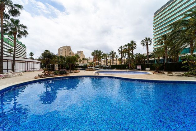 Foto 2 de Pis en lloguer a Zona Levante - Playa Fossa de 3 habitacions amb piscina i garatge