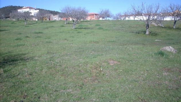 Foto 1 de Venta de terreno en Monesterio de 7747 m²