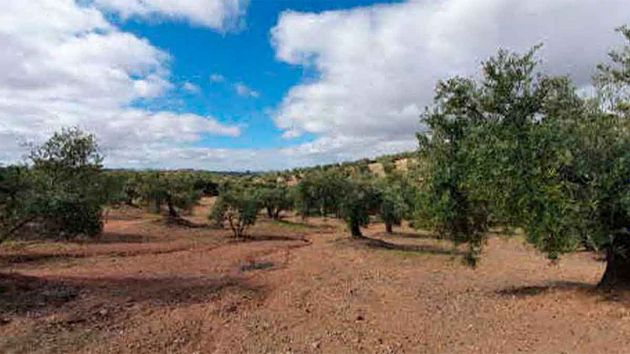 Foto 1 de Venta de terreno en Torredonjimeno de 11407 m²