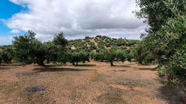 Foto 2 de Venta de terreno en Torredonjimeno de 11407 m²